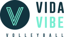 Vidavibe Coupon Codes